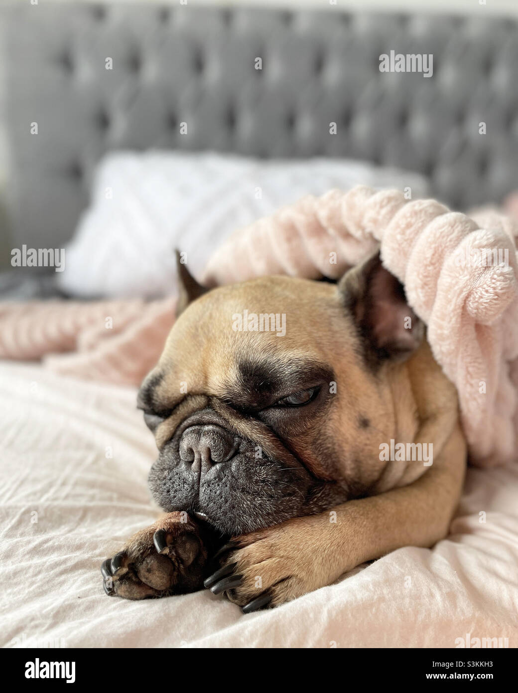 Monday mood hi-res stock photography and images - Alamy Monday mood hi-res stock photography and images - Alamy