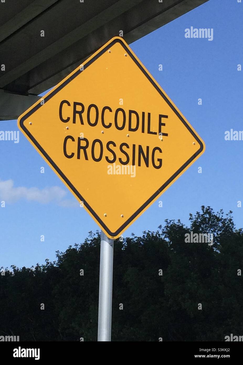 South Florida road sign - Smartphone Captured Stock Image