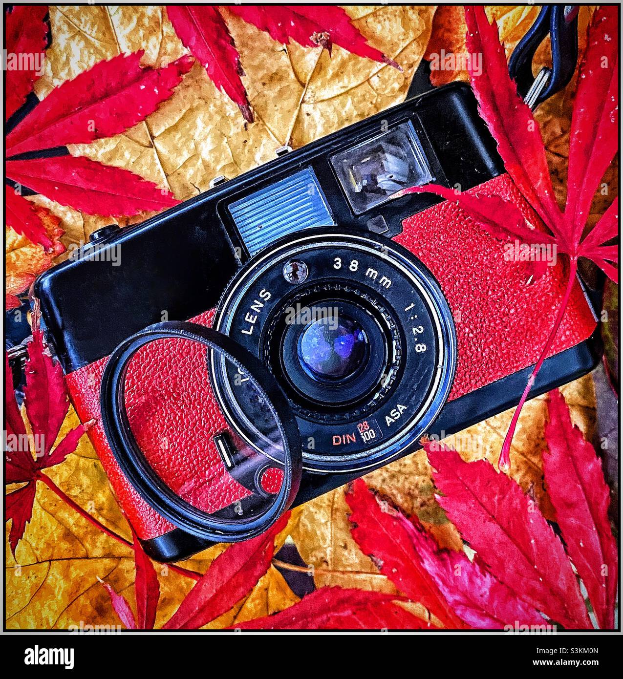 Colourful old camera with Autumn leaves. - Smartphone Captured Stock Image
