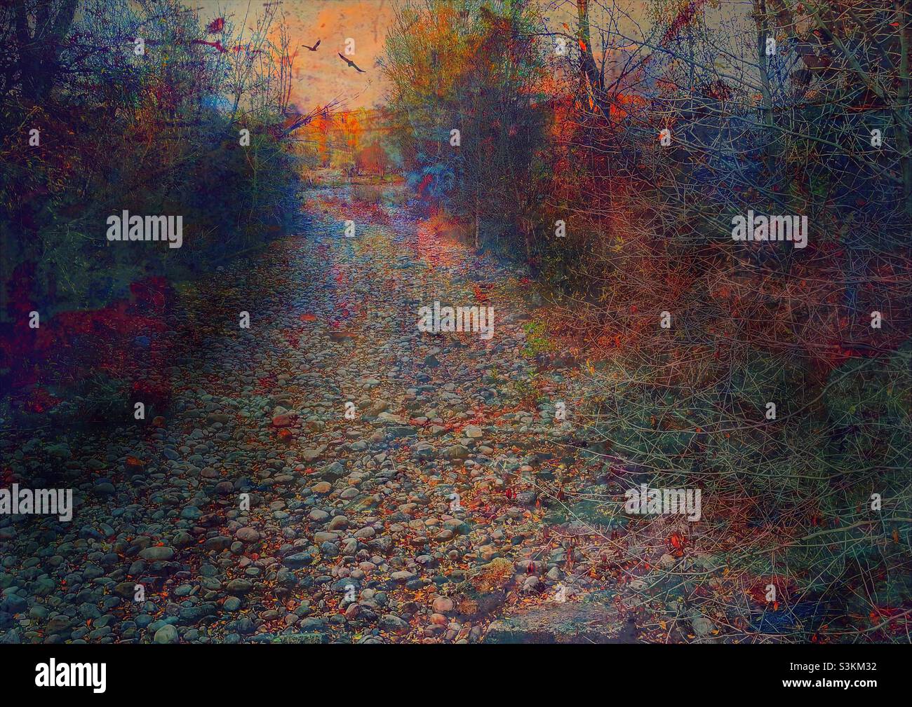 A dry stream bed cuts through the forest as dusk nears in Utah, USA. IOS apps have been used to create the painterly and grunge effects. - Smartphone Captured Stock Image