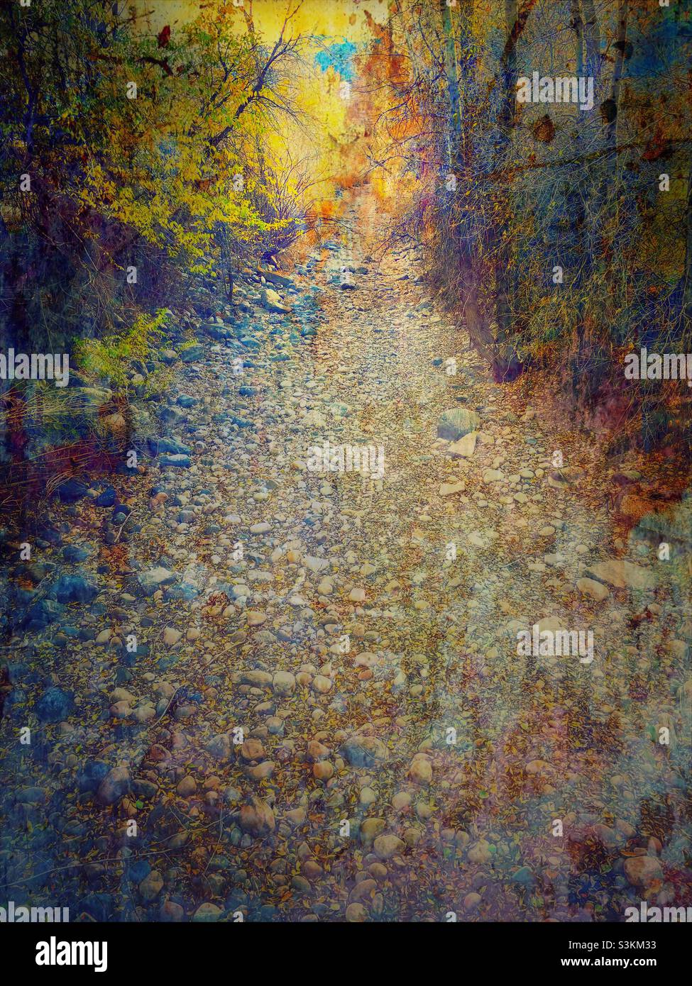 A dry stream bed cuts through the forest as dusk nears in Utah, USA. IOS apps have been used to create the painterly and grunge effects. - Smartphone Captured Stock Image