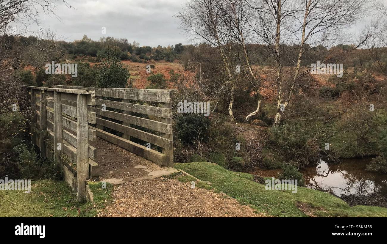 Timber bridge - New Forest - Smartphone Captured Stock Image