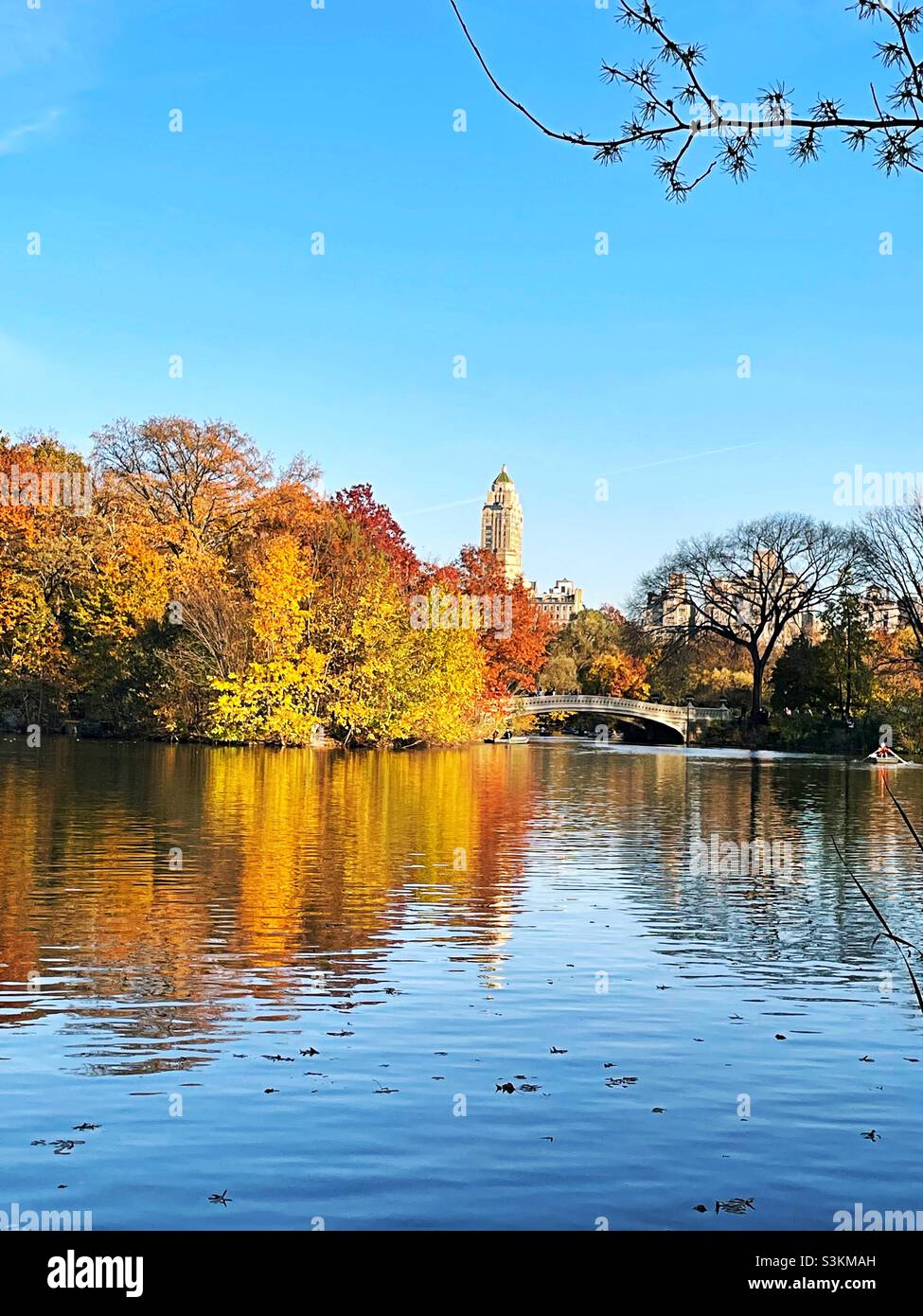 Bow Bridge and the Lake House surrounded by fall foliage in central