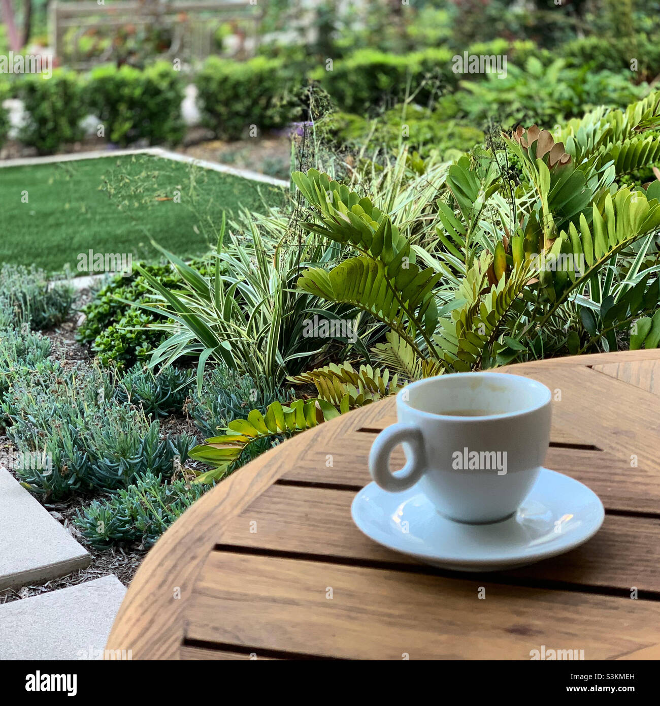 September, 2021, Park Hyatt Aviara, Carlsbad, San Diego County, California, United States, North America - Smartphone Captured Stock Image