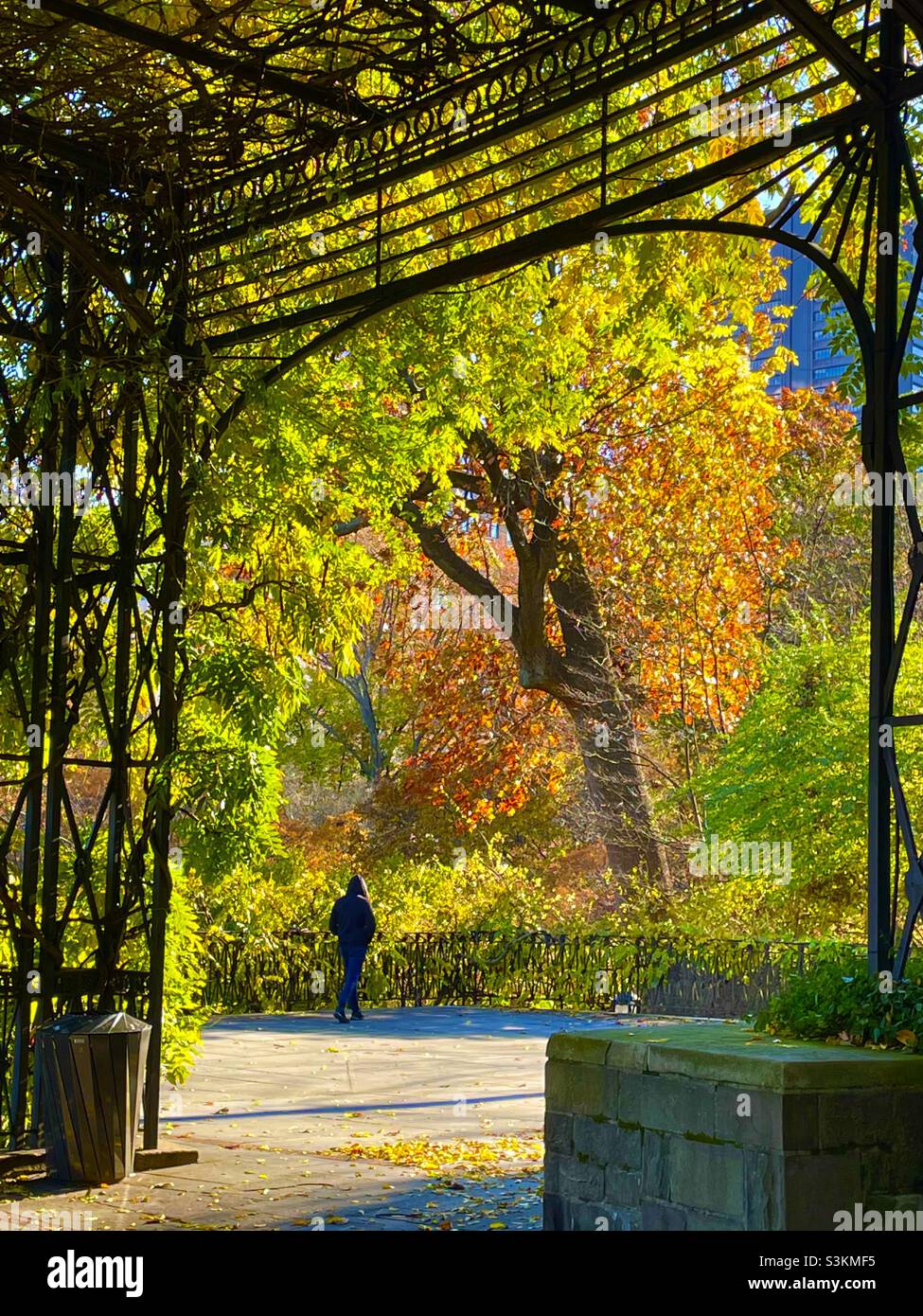 The graceful Archway frames colorful fall foliage in the conservatory garden at Central Park in New York City - Smartphone Captured Stock Image