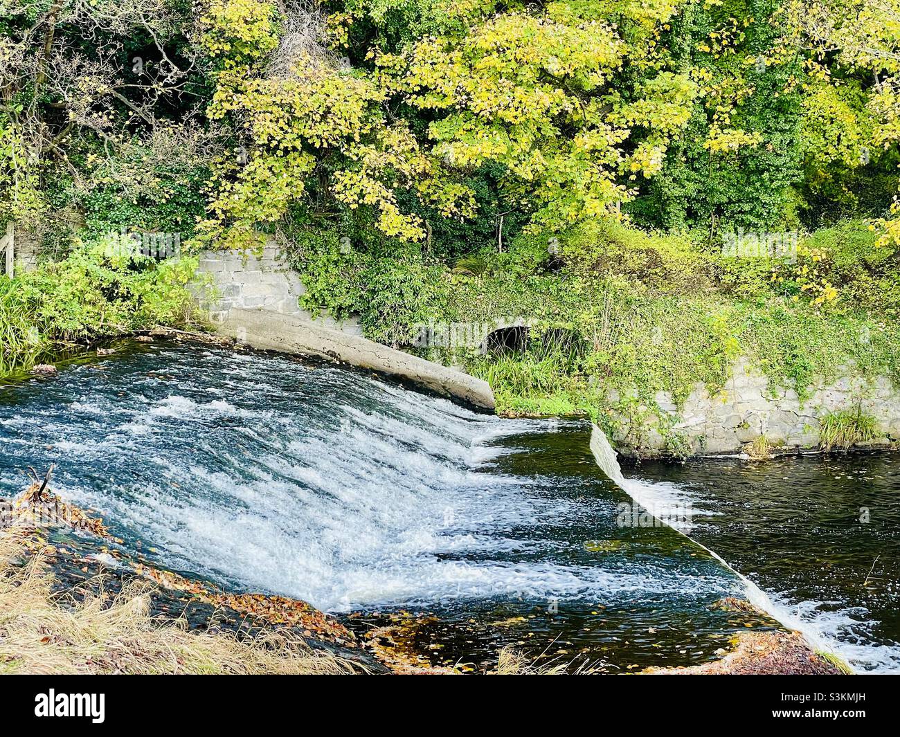 Waterfall on Dodder river in autumn time, Dublin, Ireland Stock Photo