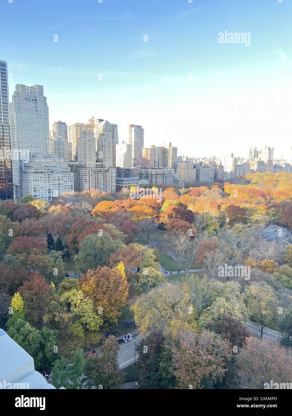 Fall leaves Central Park NYC Stock Photo Alamy