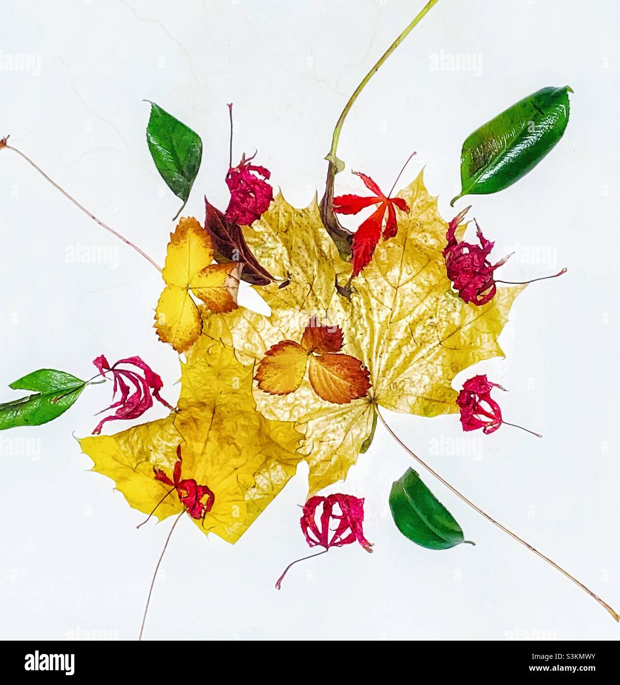 Autumn Leaf Arrangement