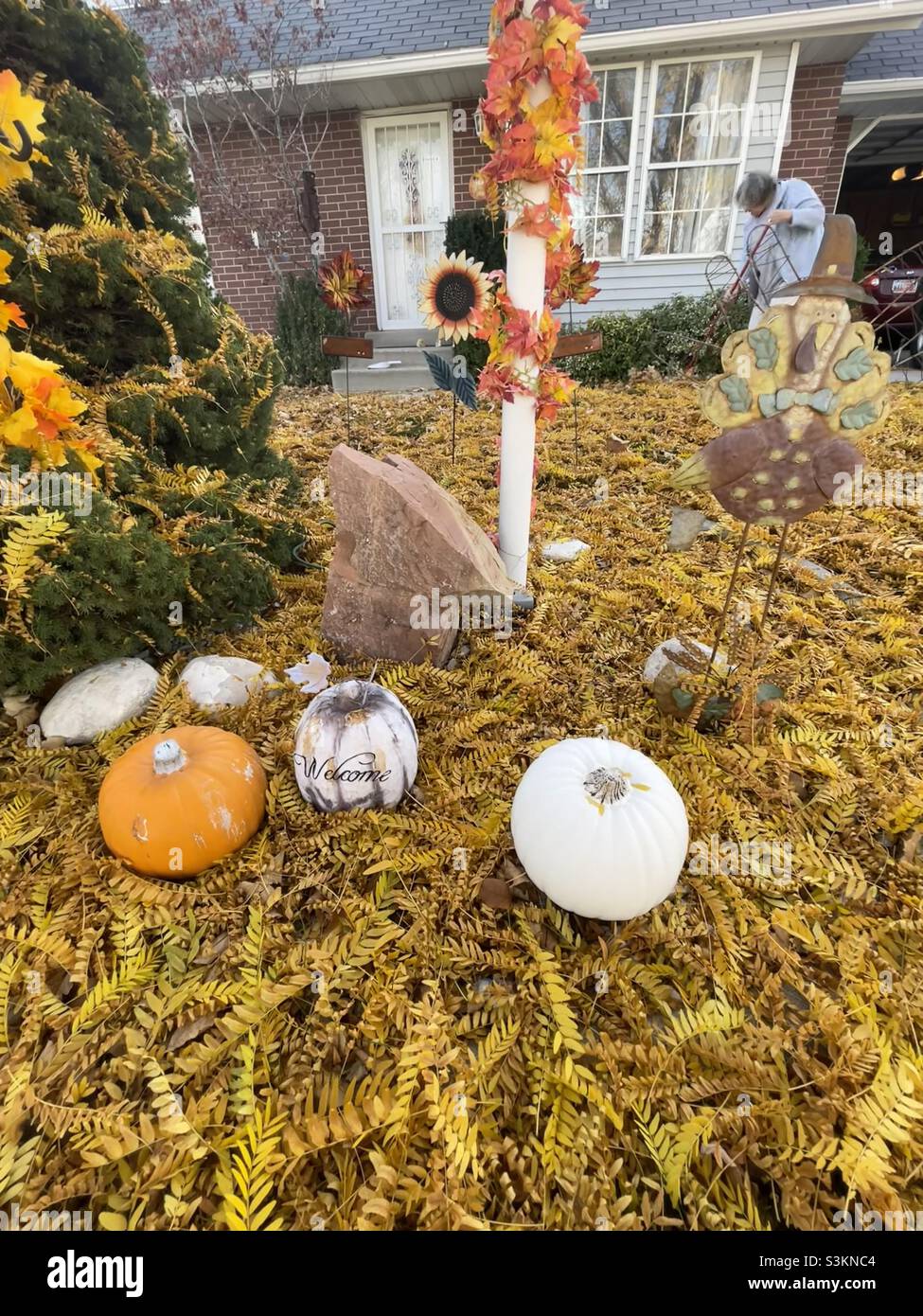 Time for a fall cleanup. A woman is seen sweeping up leaves in a leaf-covered yard with autumn themed yard decor in Utah, USA. - Smartphone Captured Stock Image