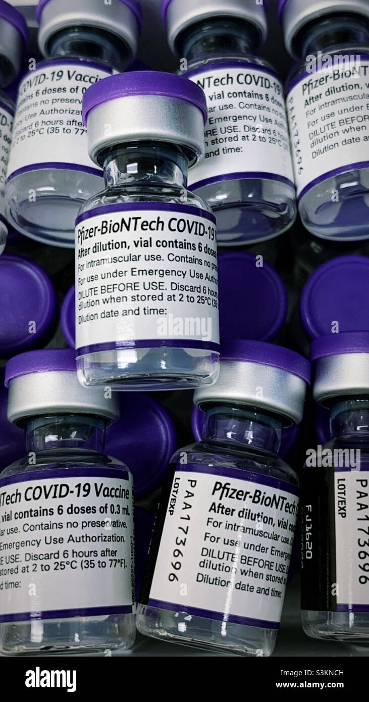 Adult Pfizer covid Vaccine vials Stock Photo