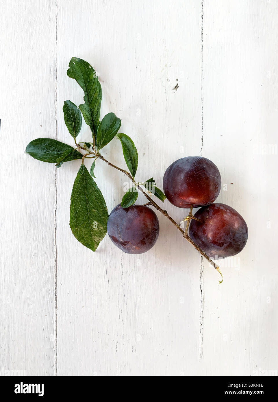 Red plums on brunch Stock Photo