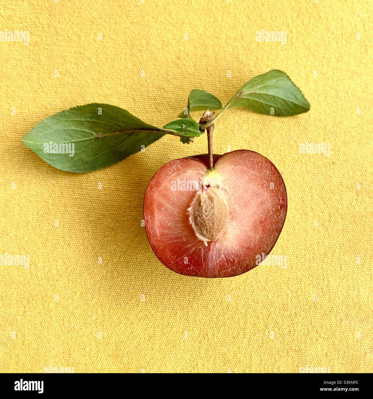 Ripe red plum on yellow background Stock Photo