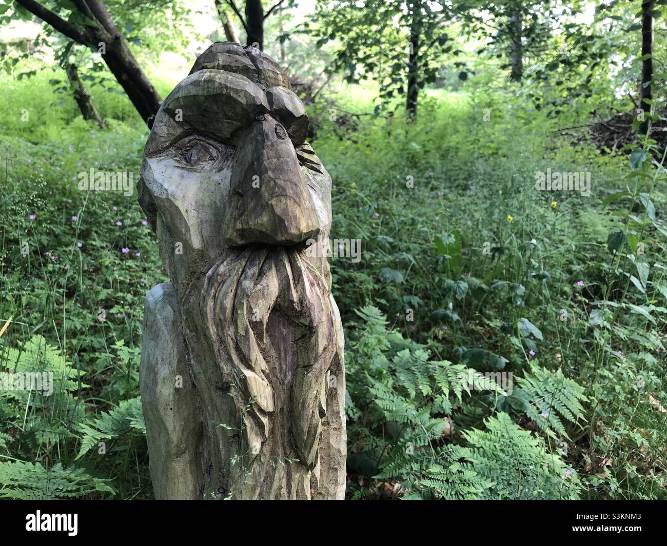 A carved wooden head in the forest in Wales Stock Photo Alamy