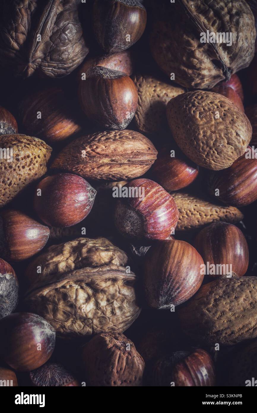 Full frame food background of a selection of mixed nuts including walnuts hazelnuts Brazil nuts and almonds with copy space Stock Photo