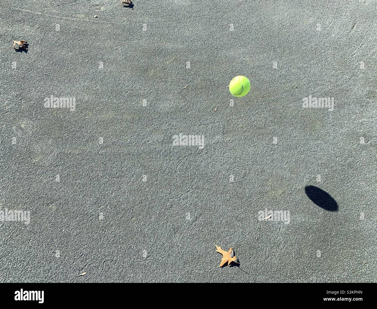 Bouncing tennis ball with shadow with gray background. - Smartphone Captured Stock Image