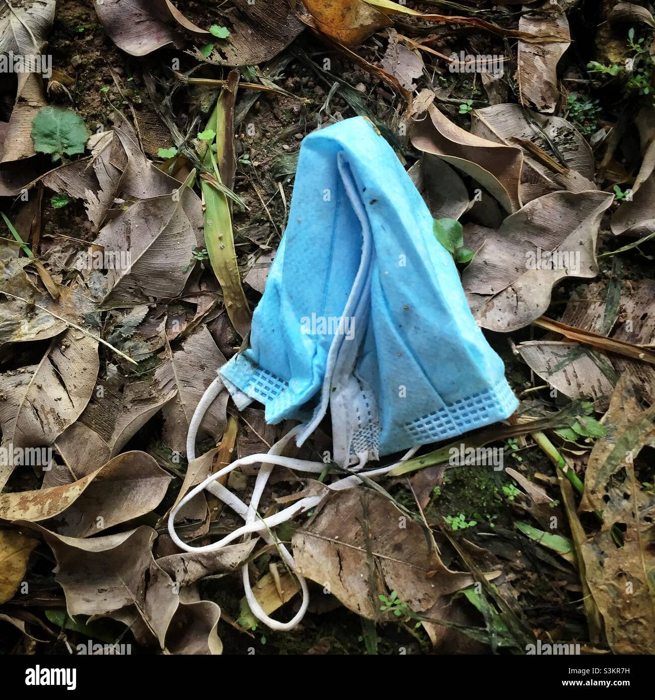 Discarded face mask, Discovery Bay, Lantau Island, Hong Kong, June 2020 - Smartphone Captured Stock Image