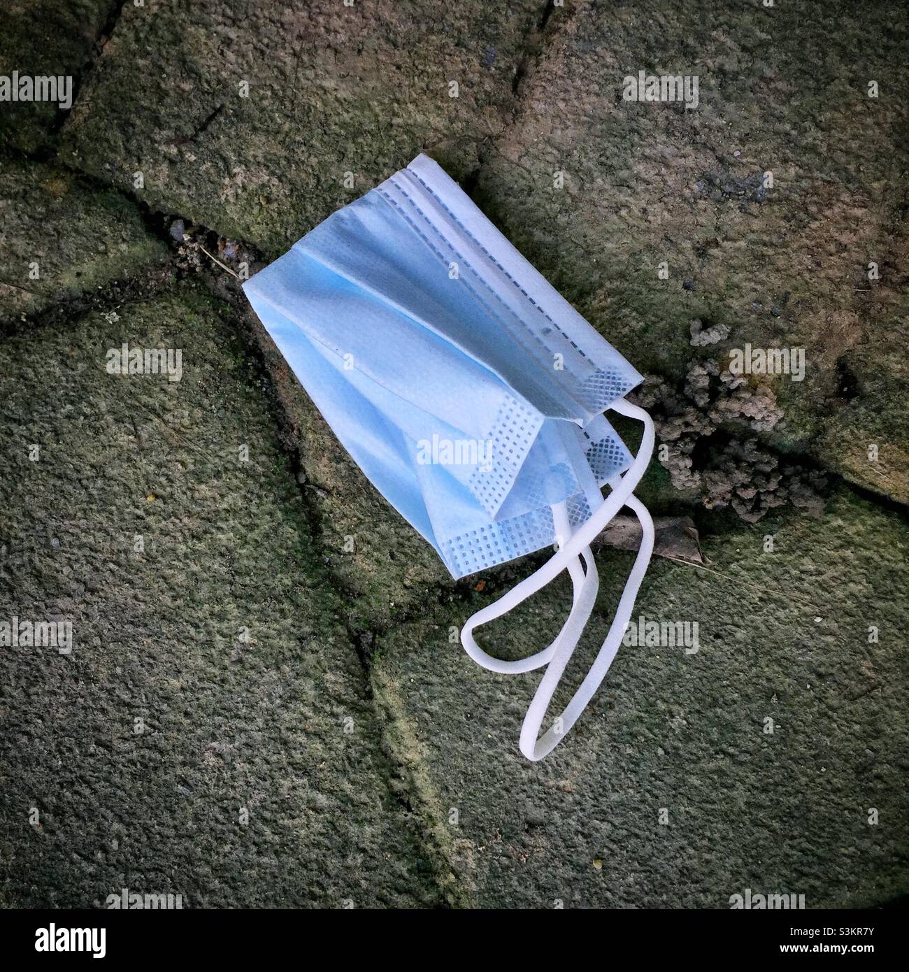 Discarded face mask, Discovery Bay, Lantau Island, Hong Kong, June 2020 - Smartphone Captured Stock Image