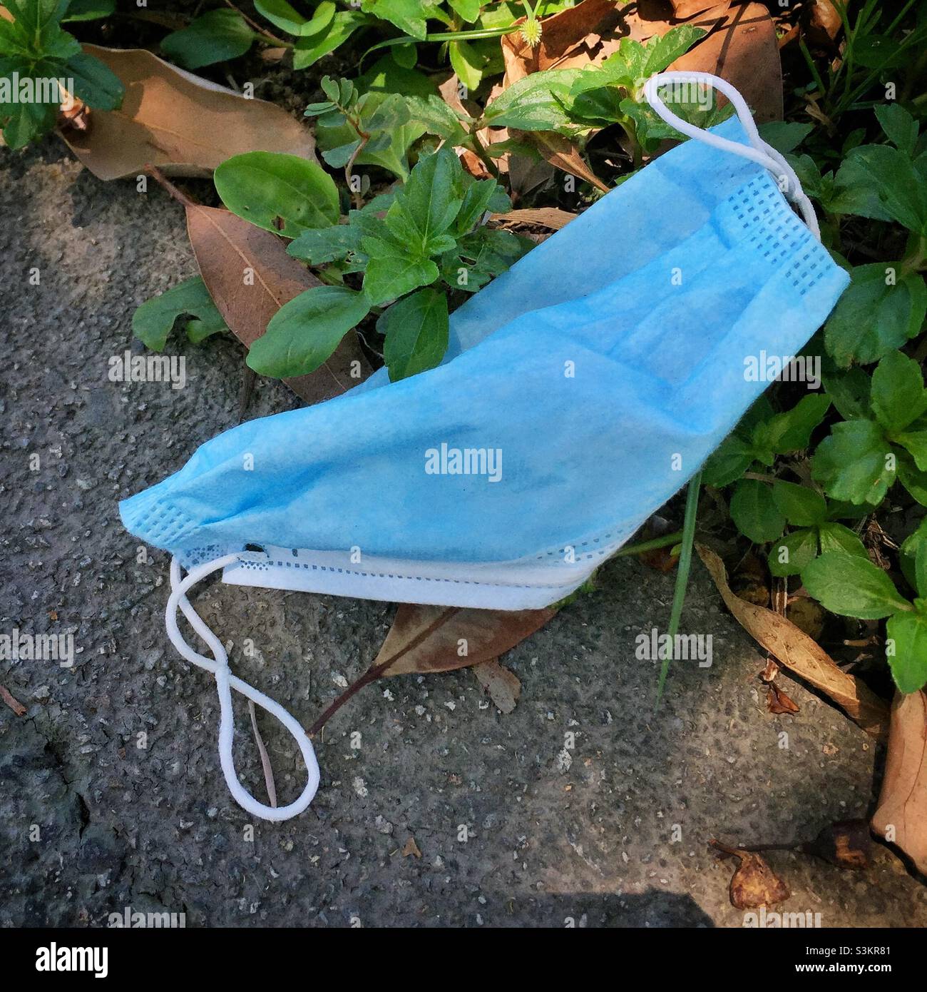 Discarded face mask, Discovery Bay, Lantau Island, Hong Kong, June 2020 - Smartphone Captured Stock Image
