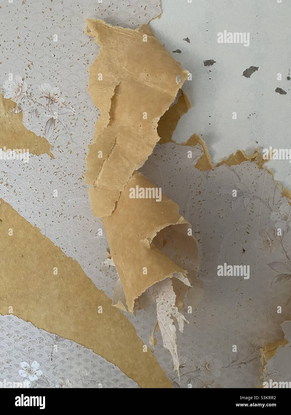 Distressed wall, background, textural element. Stock Photo