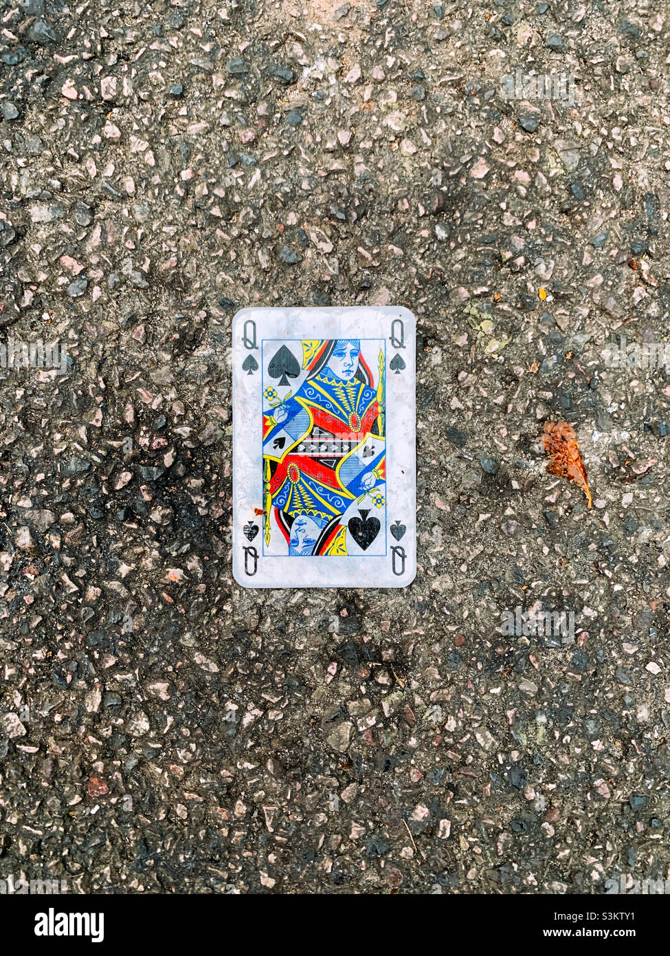 Queen of spades playing card Stock Photo Alamy