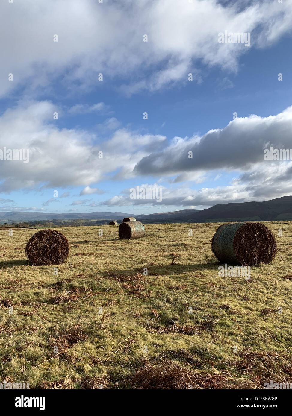 Hay bails Brecon Beacons Wales U.K. - Smartphone Captured Stock Image