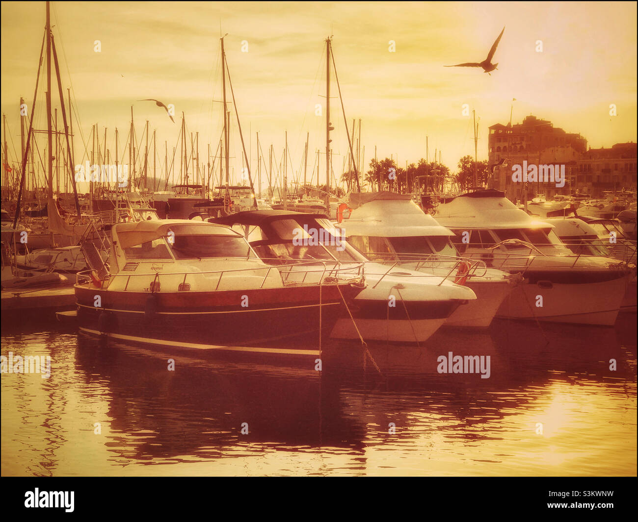 Sunset at a harbour port in the Mediterranean Sea. Lots of yachts are tethered and awaiting the chance to get out and go cruising. Photo credit ©️ COLIN HOSKINS. - Smartphone Captured Stock Image