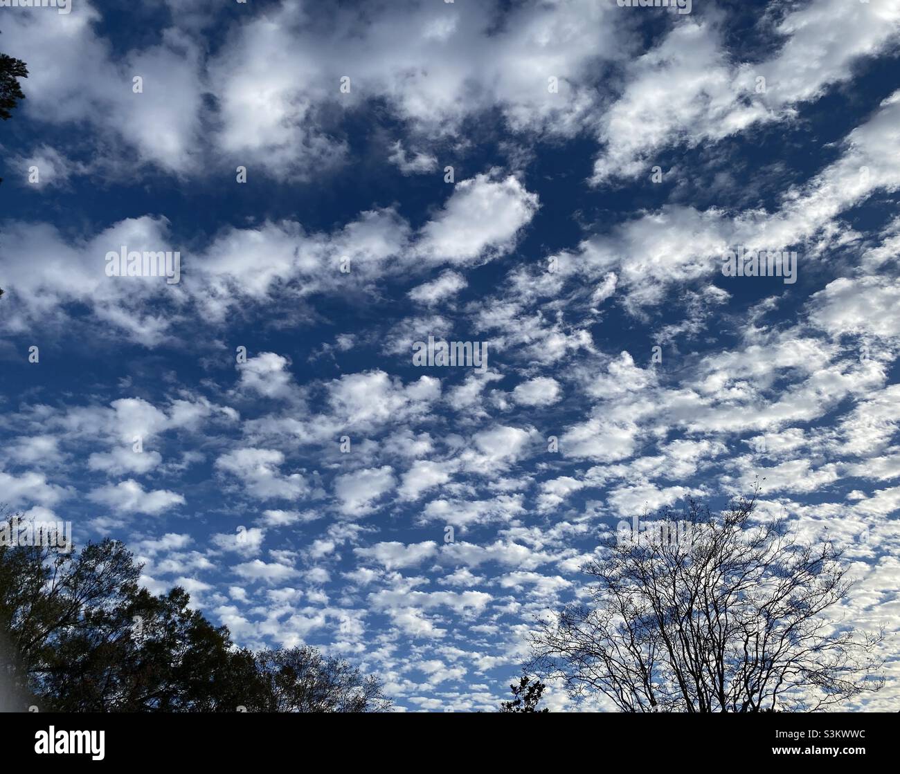 Cotton Ball Clouds Stock Photo Alamy