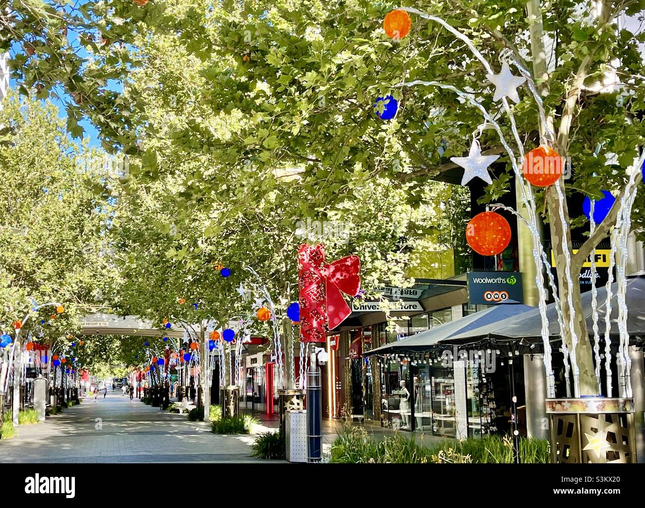 Christmas decorations on plane trees in Murray Street shopping mall