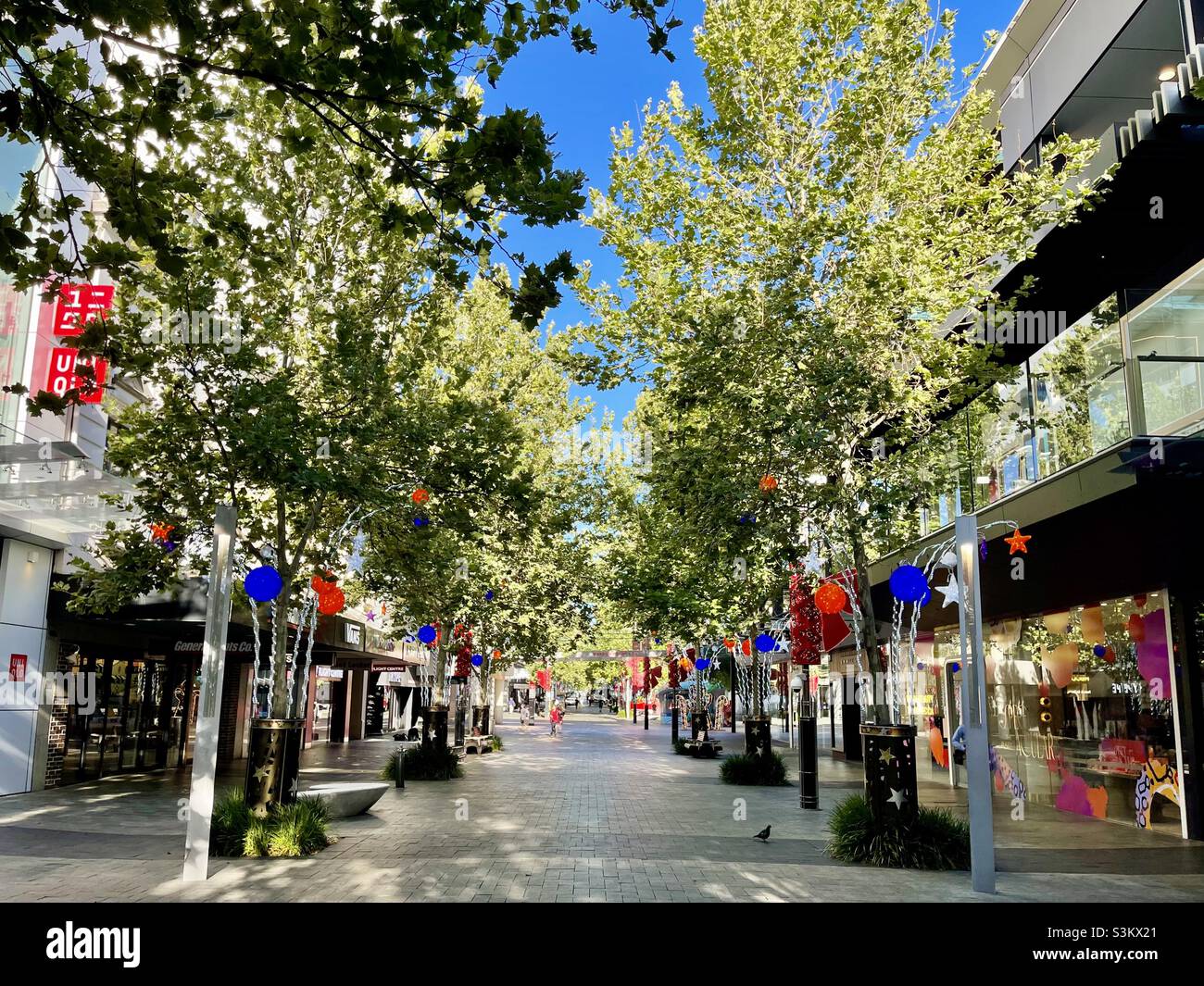 Christmas decorations on plane trees in Murray Street shopping mall Perth Western Australia