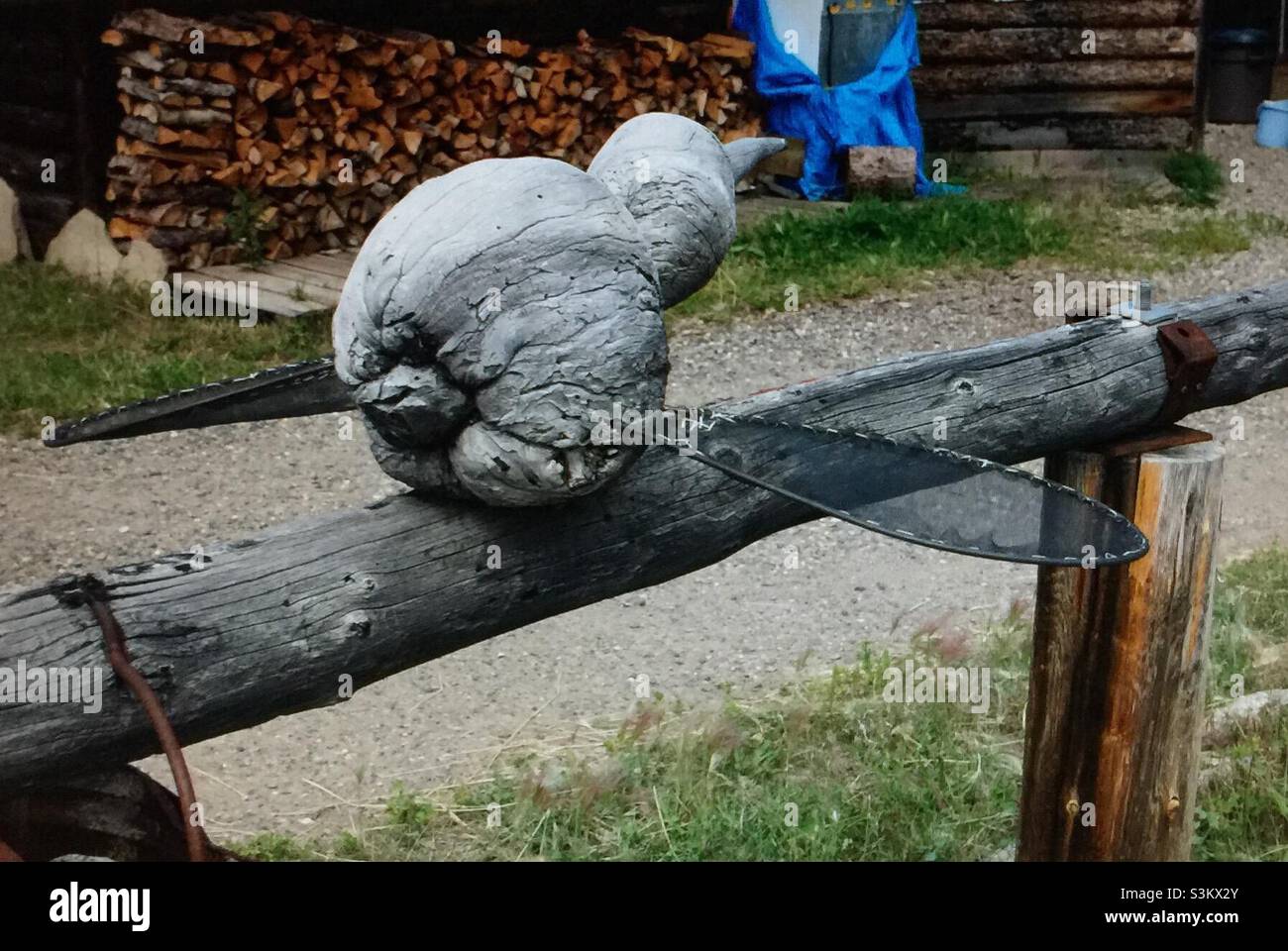Yukon, Canada, World’s largest mosquito carving - Smartphone Captured Stock Image