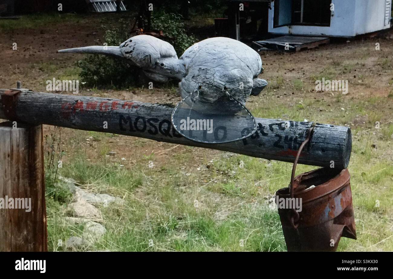 Yukon, Canada, World’s largest mosquito carving - Smartphone Captured Stock Image