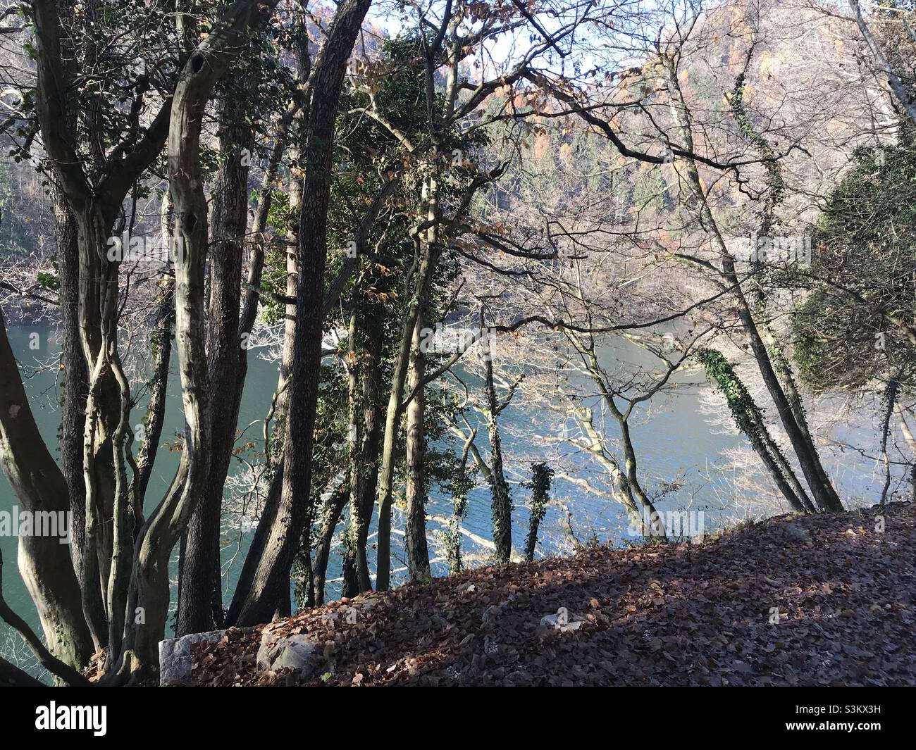 Trees surrounding Lake Levico in Trentino, Northern Italy, on a cold autumn day - Smartphone Captured Stock Image