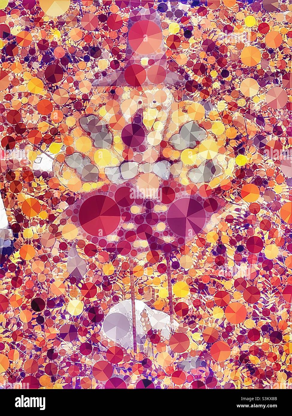 A Thanksgiving turkey yard decoration sits upon a leaf-covered lawn in Utah, USA. The IOS app Percolator has helped create this colorful abstraction made up of multiple sized dots. - Smartphone Captured Stock Image