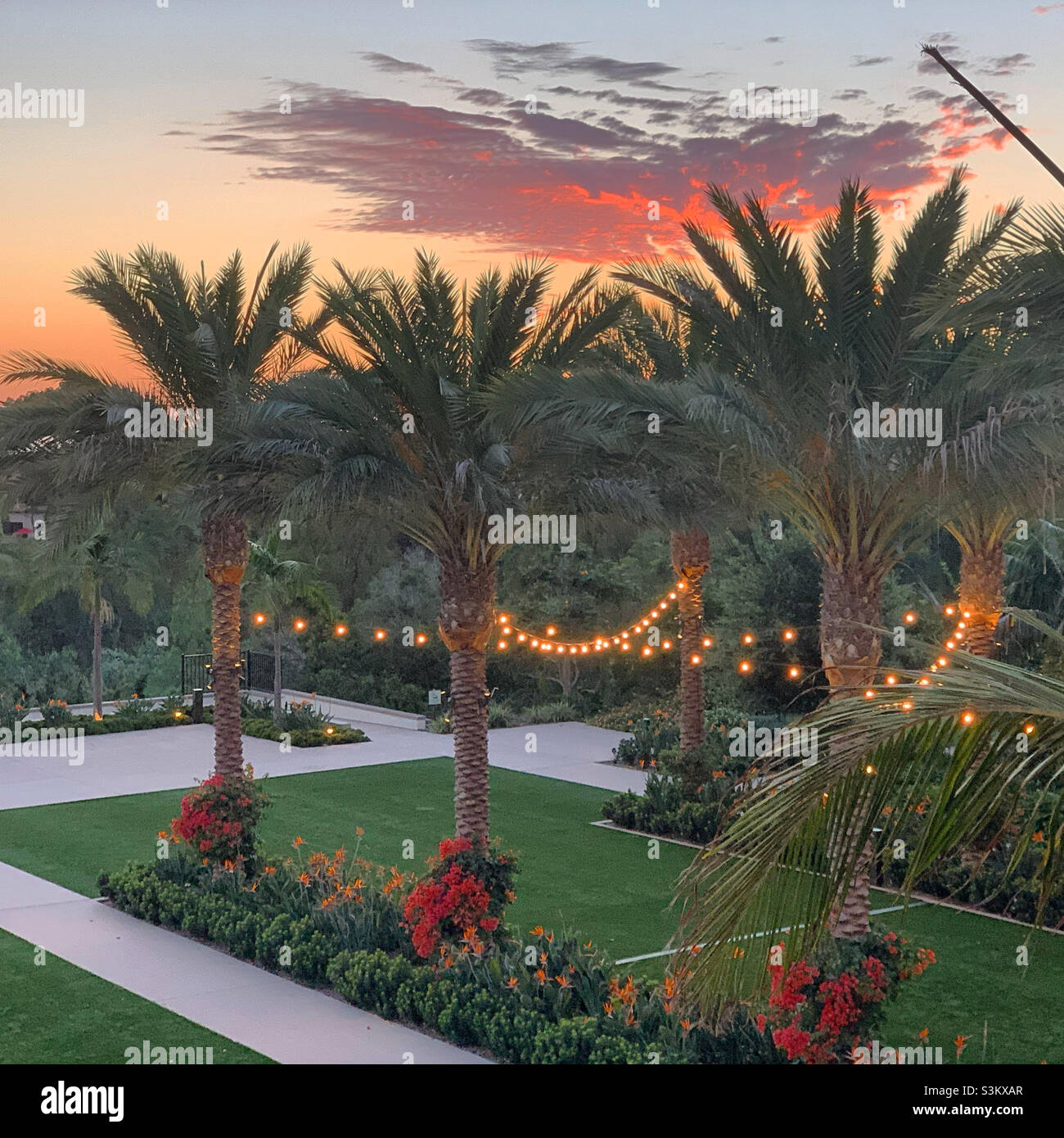 Sunset, Park Hyatt Aviara, Carlsbad, San Diego County, California, United States, North America - Smartphone Captured Stock Image