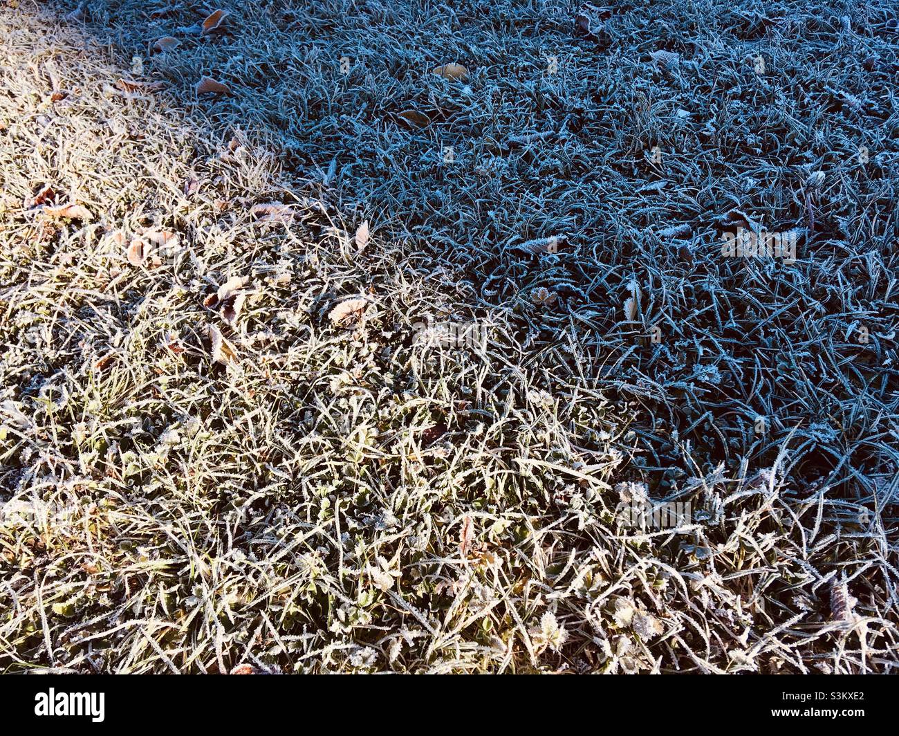 Frost on grass on a late autumn morning - Smartphone Captured Stock Image