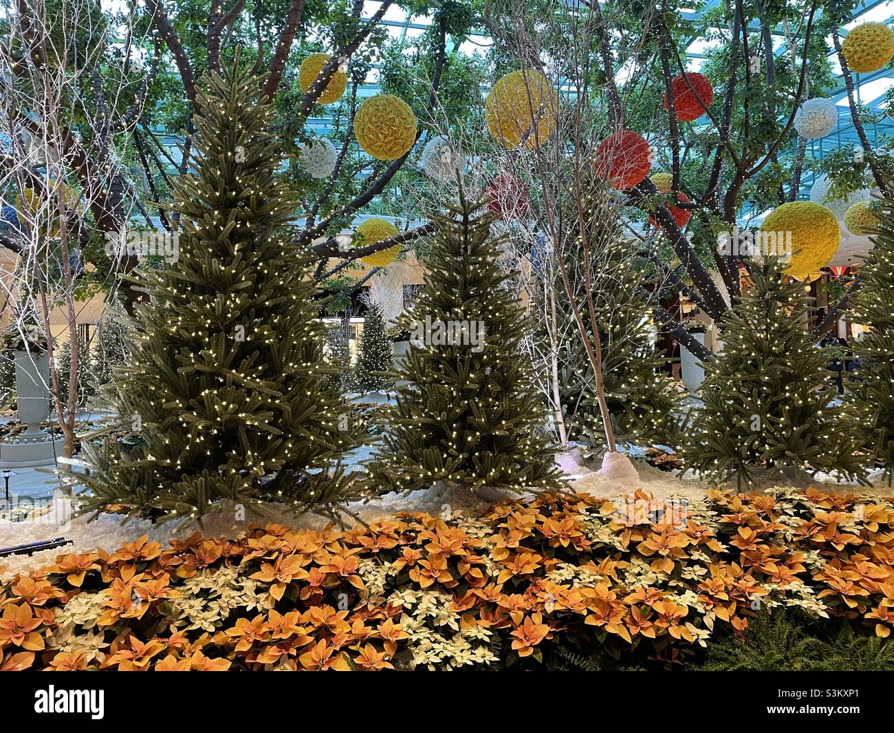Christmas trees and decorations at Wynn Las Vegas Resort Las Vegas