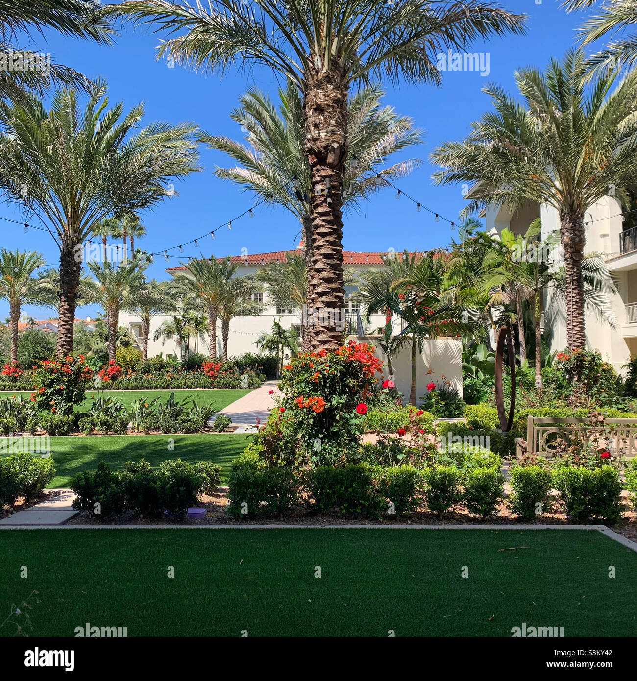 September, 2021, Grounds outside a first-floor room, Park Hyatt Aviara, Carlsbad, San Diego County, California, United States, North America - Smartphone Captured Stock Image