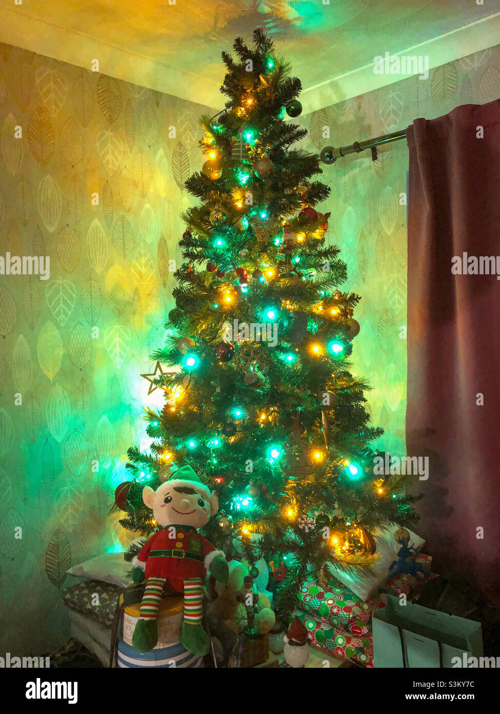 A Christmas tree lit up with green and yellow lights. - Smartphone Captured Stock Image