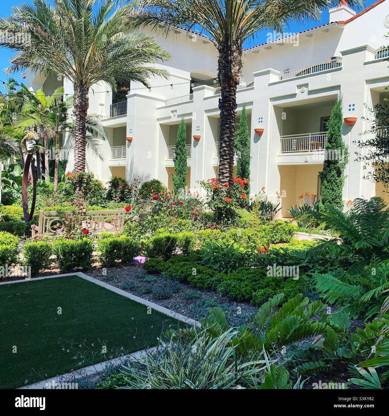 September, 2021, Park Hyatt Aviara, Carlsbad, San Diego County, California, United States, North America - Smartphone Captured Stock Image
