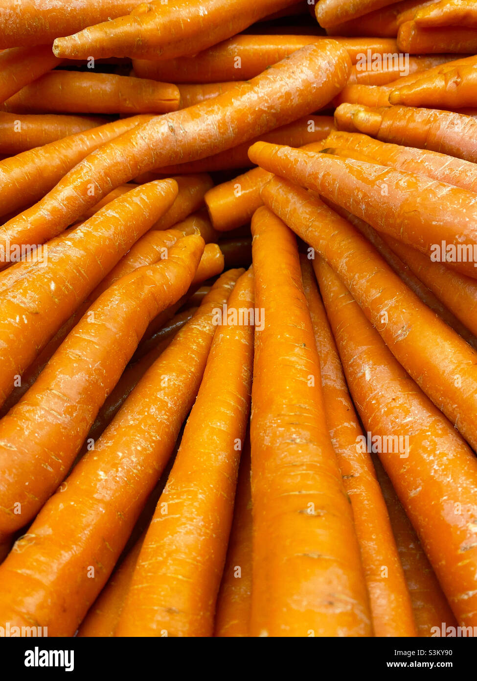 Large group of carrots - Smartphone Captured Stock Image
