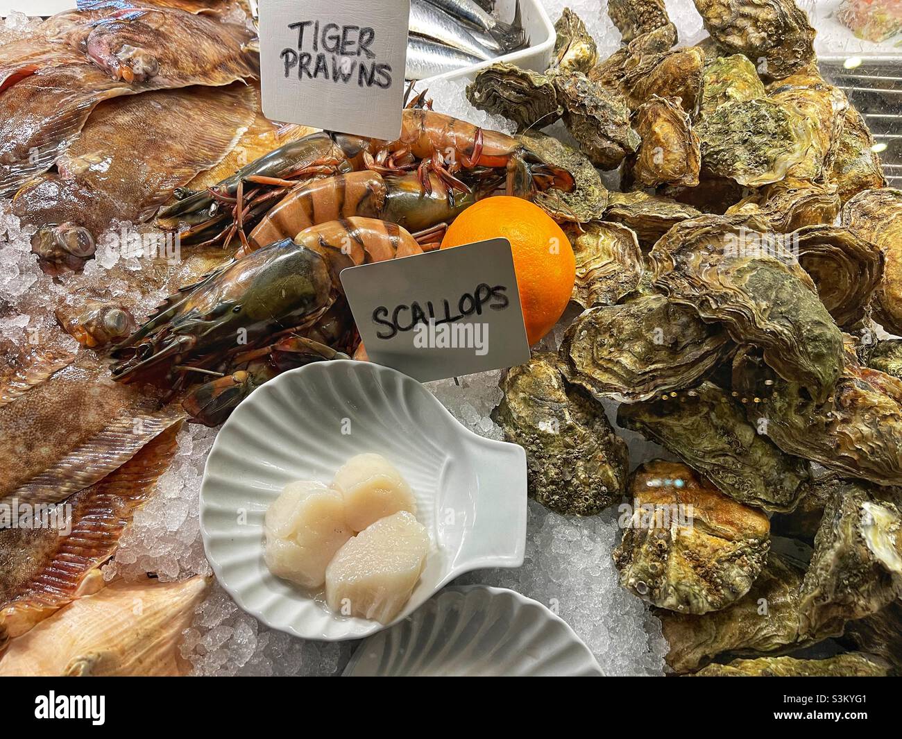 Fresh seafood on ice with scallops, tiger prawns and oysters Stock Photo