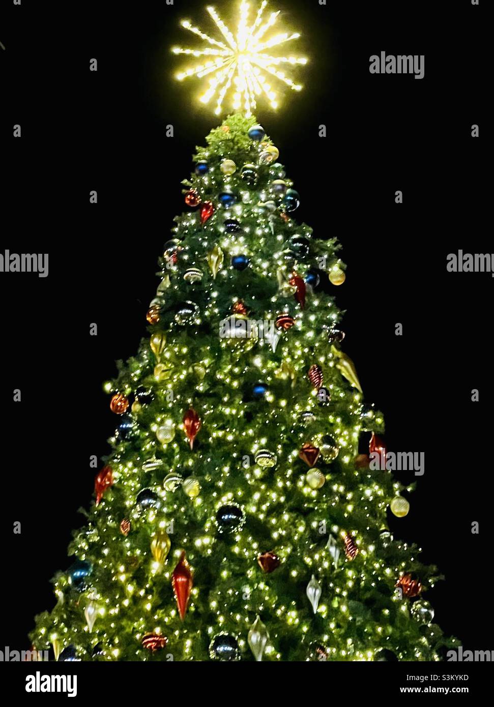 Pretty Christmas tree - Smartphone Captured Stock Image