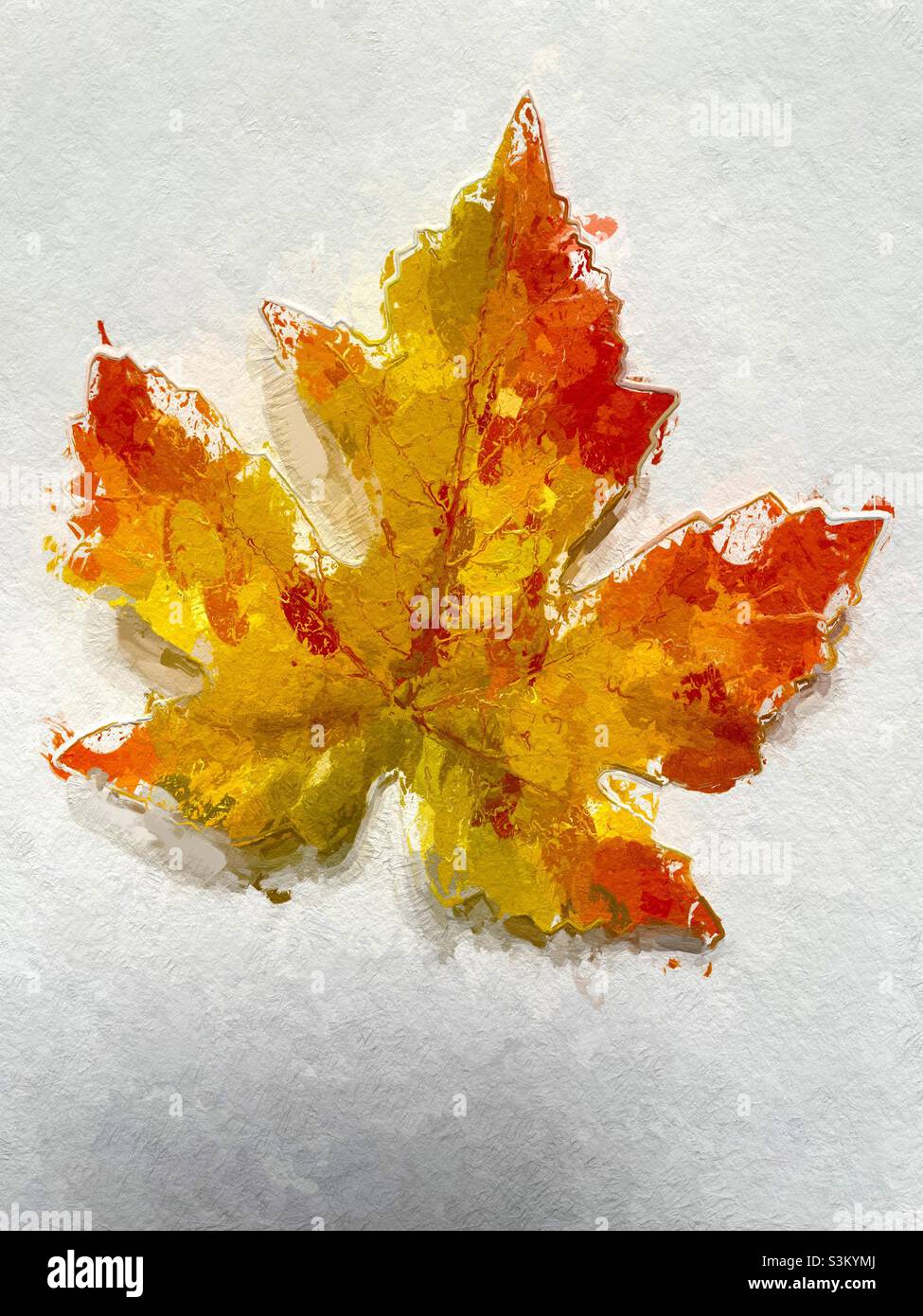 A single autumn leaf on a white background, made painterly and textured via the IOS app Glaze. - Smartphone Captured Stock Image