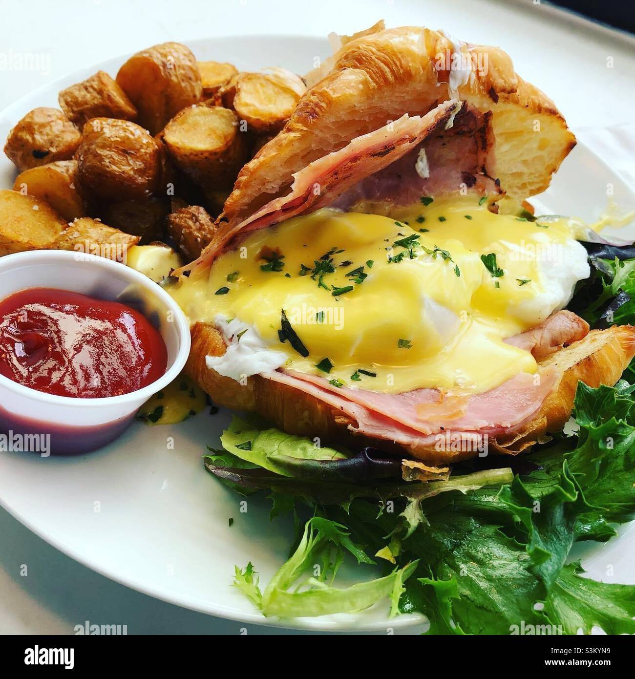 Egg Benedict Sandwich Stock Photo Alamy