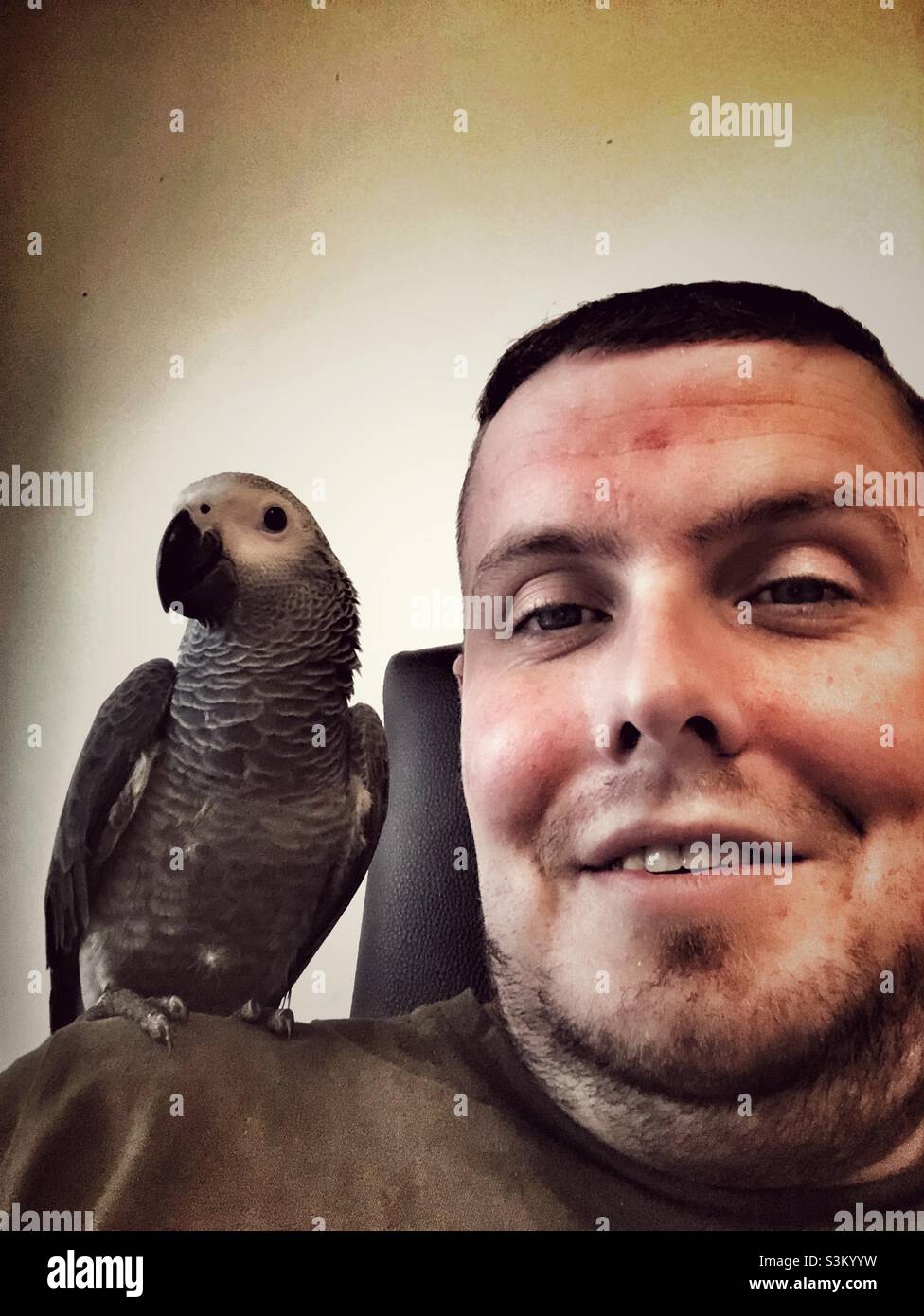 Baby African Grey Parrot sitting on man’s on shoulder - Smartphone Captured Stock Image