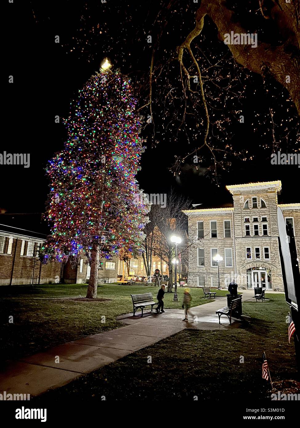 Town hall Christmas tree Stock Photo