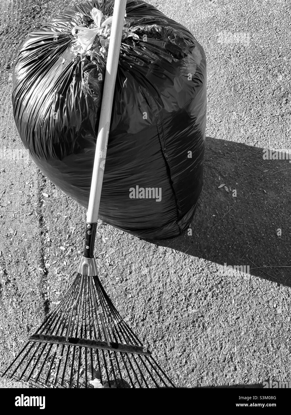 A black and white image of freshly bagged autumn leaves with an adjacent rake in Utah, USA. - Smartphone Captured Stock Image