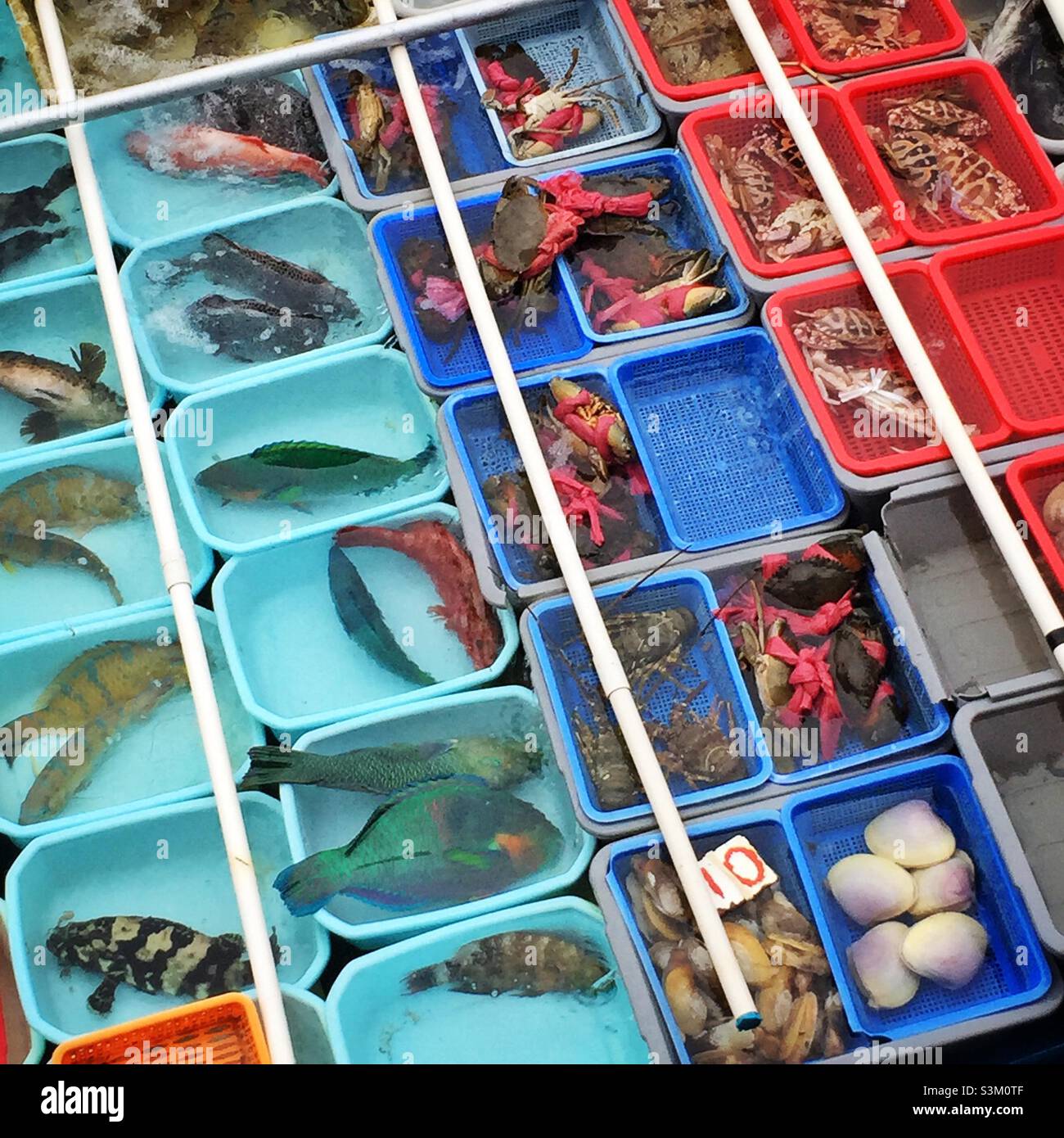 Live fish, clams and crabs for sale in a street market, Wan Chai, Hong Kong Island - Smartphone Captured Stock Image