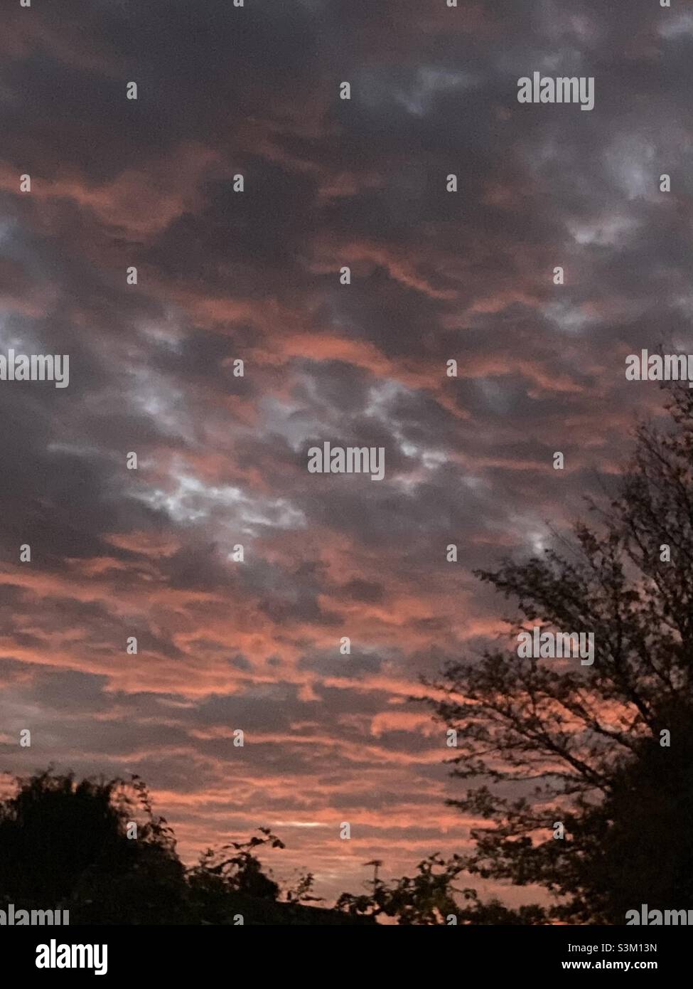 Orange over West Norfolk Fenland. Vibrant November sunset as seen from a small market town garden. Hues of orange and greys. Seconds later tones turned to pink. Silhouette of garden trees. Stock Photo