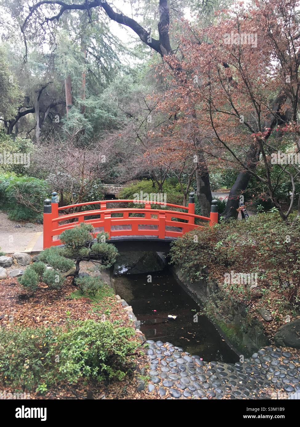 Japanese Garden at Descanso Gardens La Canada Flintridge California Stock Photo